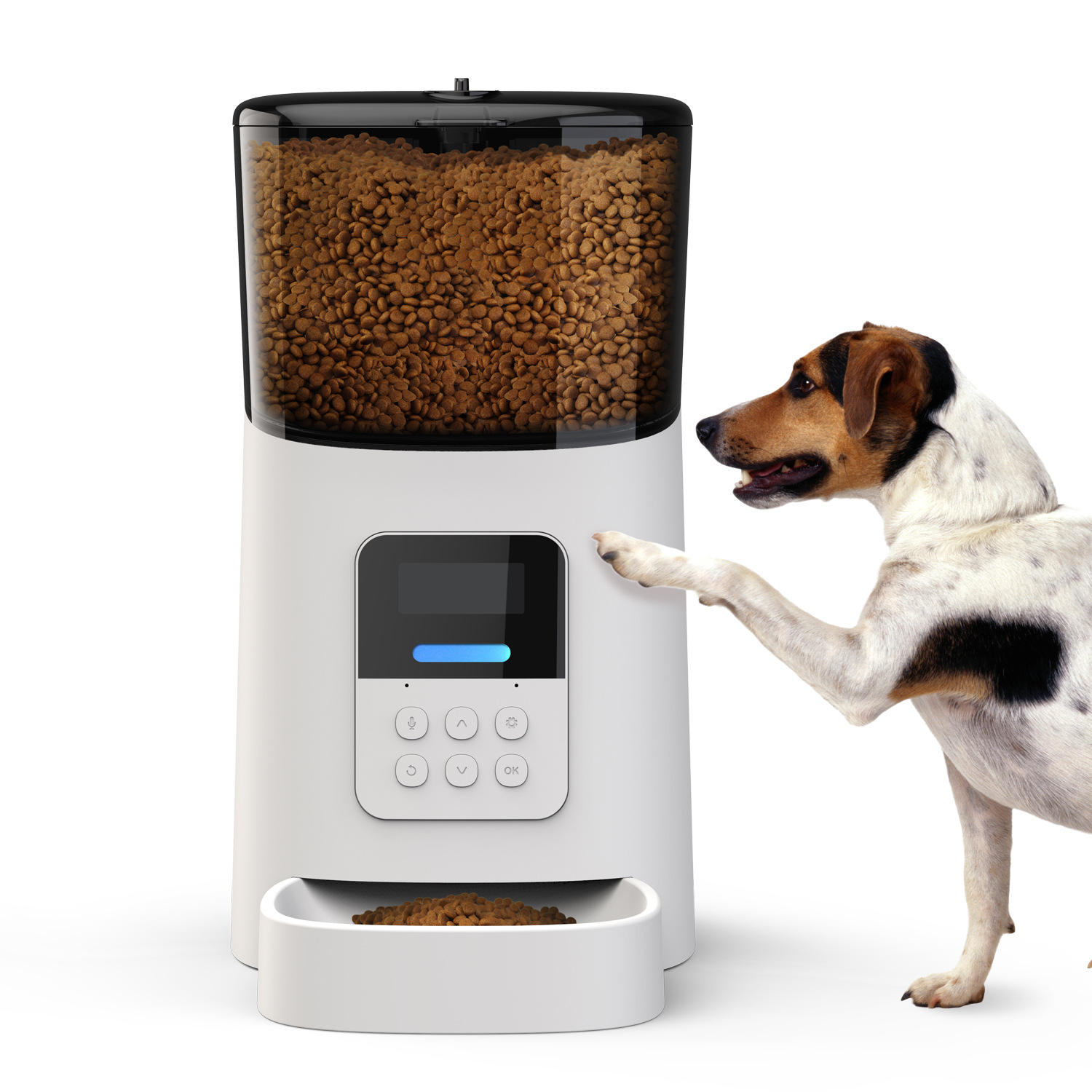 best automatic cat feeder wifi