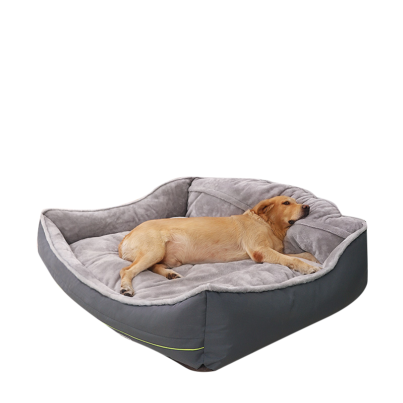 best memory foam dog bed